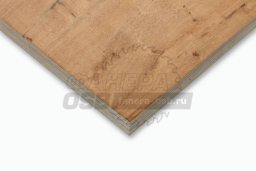 2091_Дуб Бунратти